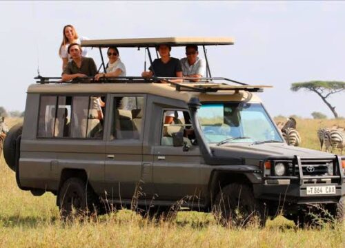 Safari Vehicles Overview: Choosing the Right Safari Vehicle in Tanzania 2026, 2027 & 2028