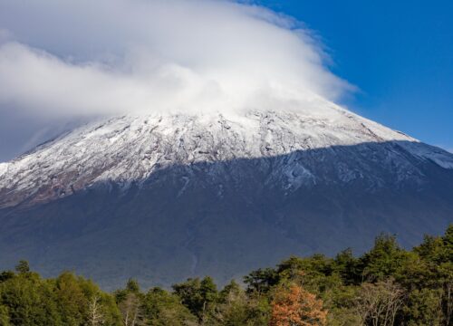 7 Days Rongai Route Kilimanjaro Trekking 2026, 2027 & 2028