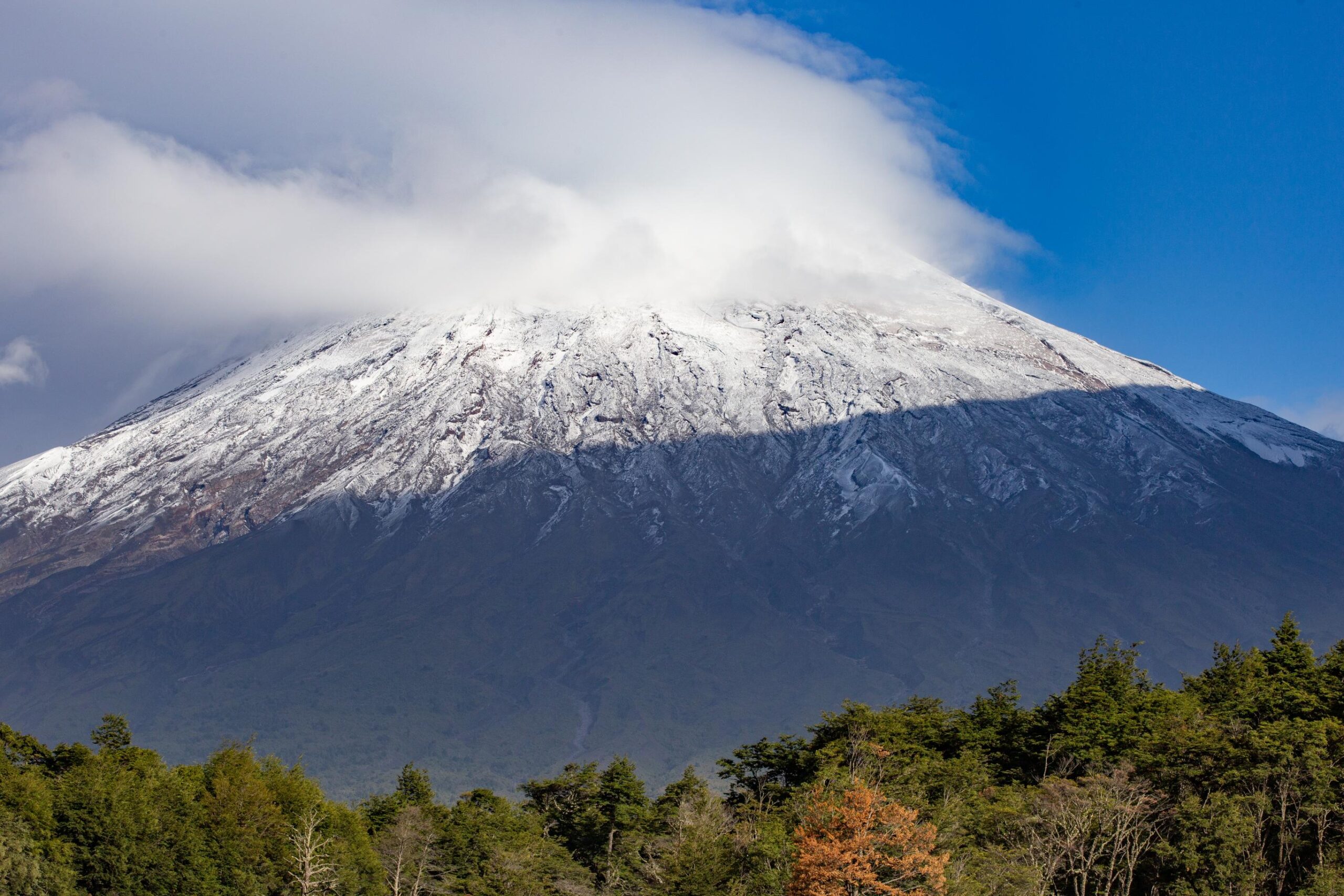 7 Days Rongai Route Kilimanjaro Trekking 2026, 2027 & 2028