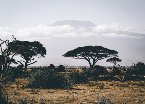 6 Days Marangu Route Kilimanjaro Trekking 2026, 2027 & 2028 – Classic Mount Kilimanjaro Adventure