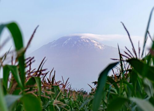 3 Days Mount Meru Trekking 2026, 2027 & 2028