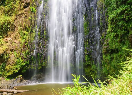 Materuni Waterfall Day Excursion 2026, 2027 & 2028
