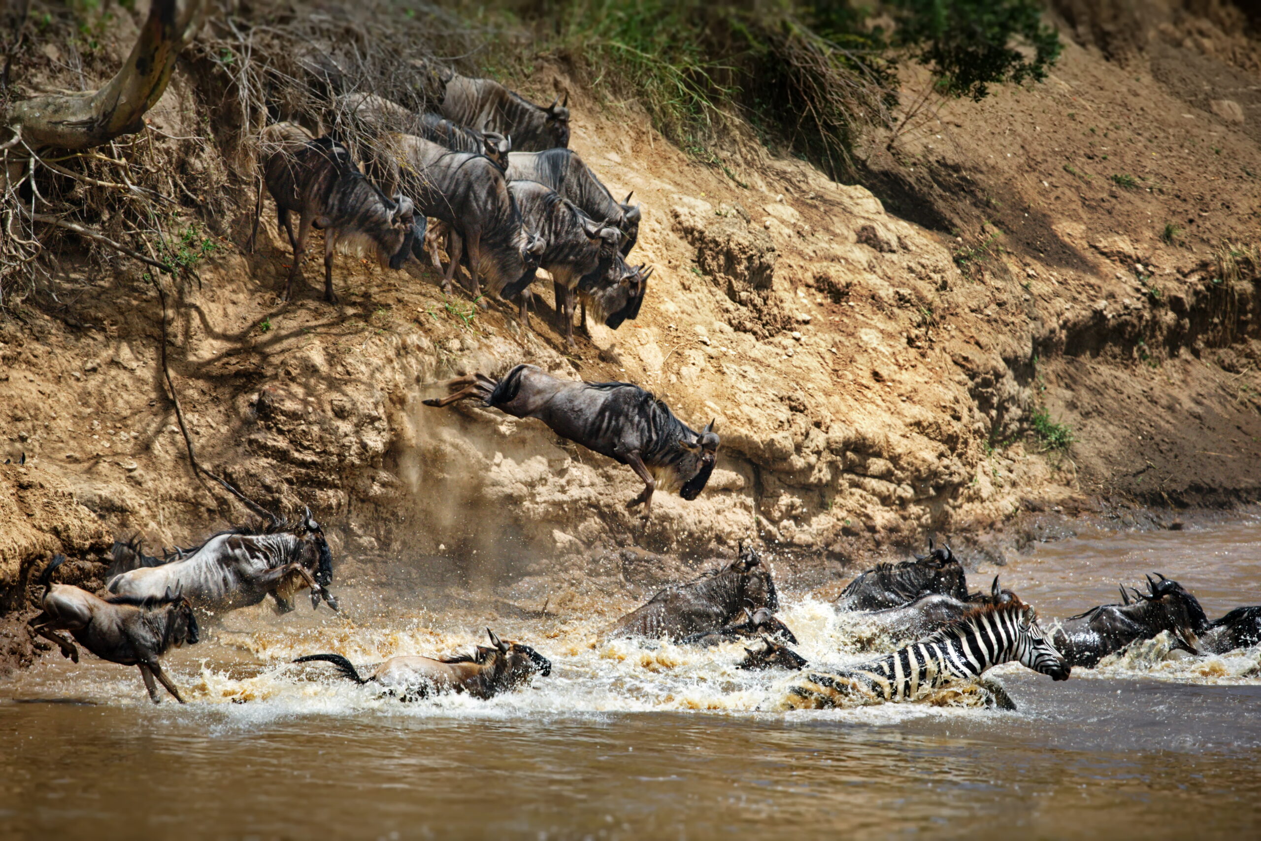 Best 7 Days Wildebeest Migration Safari 2026, 2027 & 2028