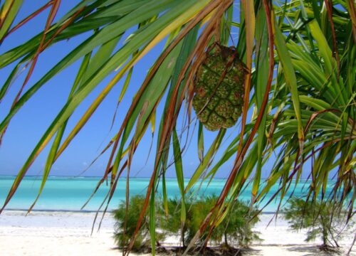 Payment Methods for Tanzania Safaris, Kilimanjaro Treks & Zanzibar Holidays