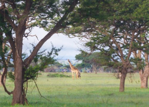 Tanzania Visa Guide 2026, 2027 & 2028